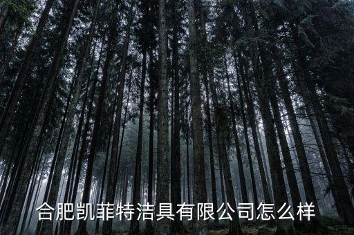 合肥凱菲特潔具有限公司怎么樣