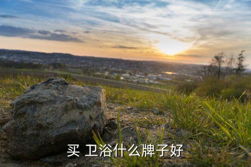 買 衛(wèi)浴什么牌子好