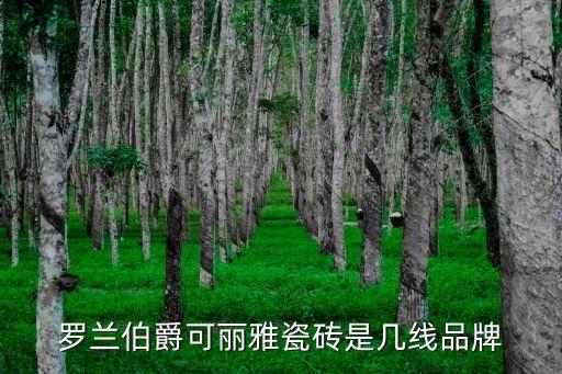 羅蘭伯爵可麗雅瓷磚是幾線品牌