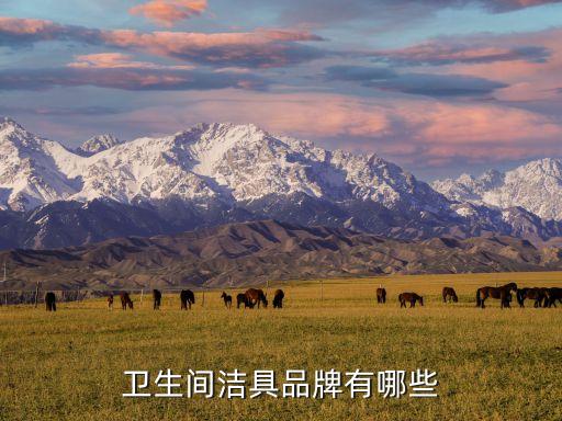 溫州信宜衛(wèi)浴有限公司電話,溫州正霸衛(wèi)浴有限公司董事長