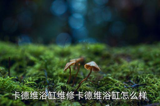 卡德維浴缸維修卡德維浴缸怎么樣