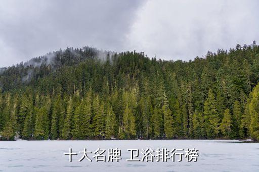 上海陶瓷衛(wèi)浴十大品牌,中國(guó)陶瓷衛(wèi)浴十大品牌中潔網(wǎng)