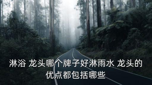 淋浴 龍頭哪個牌子好淋雨水 龍頭的優(yōu)點都包括哪些