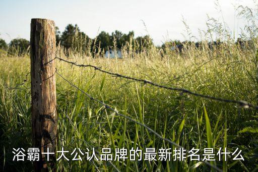 浴霸十大公認(rèn)品牌的最新排名是什么