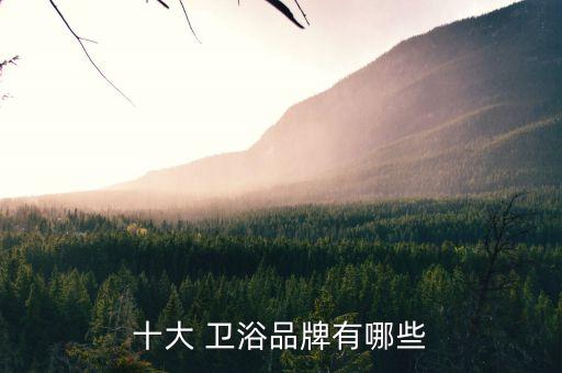 創(chuàng)意衛(wèi)浴推薦品牌排行榜,十大衛(wèi)浴品牌排行榜2022