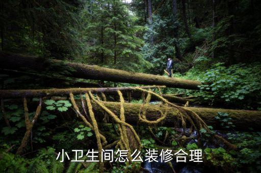 小衛(wèi)生間怎么裝修合理