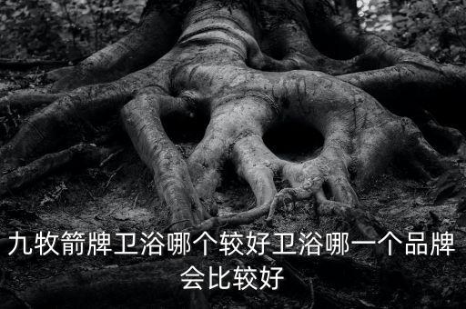九牧箭牌衛(wèi)浴哪個較好衛(wèi)浴哪一個品牌會比較好