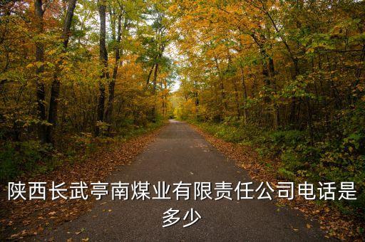 陜西長(zhǎng)武亭南煤業(yè)有限責(zé)任公司電話是多少