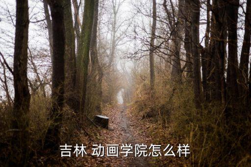 吉林 動(dòng)畫學(xué)院怎么樣