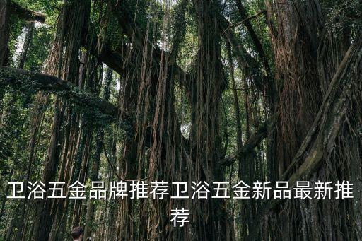 衛(wèi)浴五金品牌推薦衛(wèi)浴五金新品最新推薦