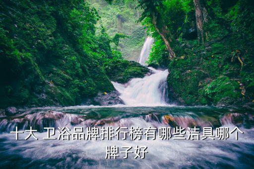 十大 衛(wèi)浴品牌排行榜有哪些潔具哪個(gè)牌子好