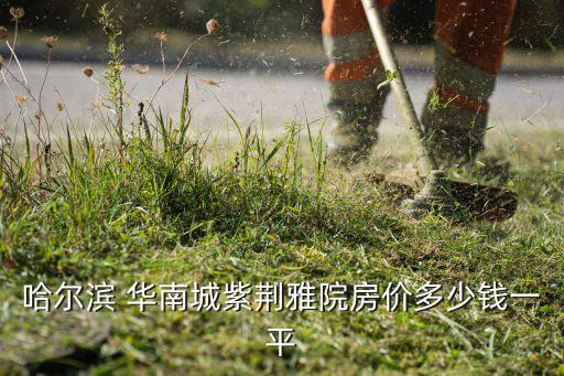 哈爾濱 華南城紫荊雅院房價多少錢一平