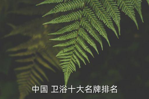 中國(guó) 衛(wèi)浴十大名牌排名