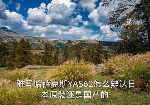  雅馬哈薩克斯YAS62怎么辨認(rèn)日本原裝還是國產(chǎn)的