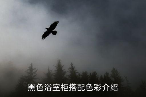 網(wǎng)紅衛(wèi)浴柜極簡圖案圖片