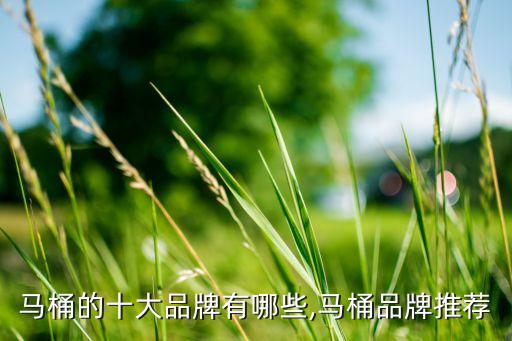 美標衛(wèi)浴和toto哪個好
