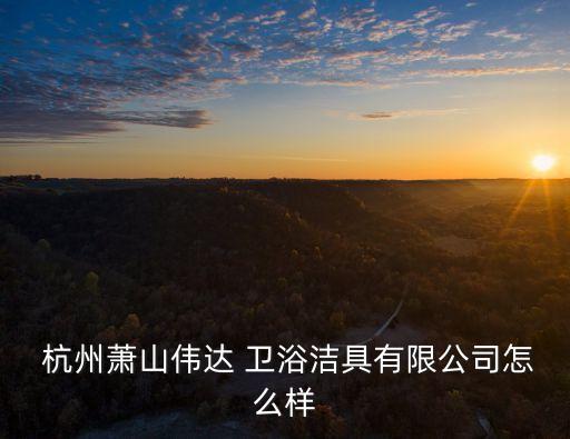  杭州蕭山偉達(dá) 衛(wèi)浴潔具有限公司怎么樣