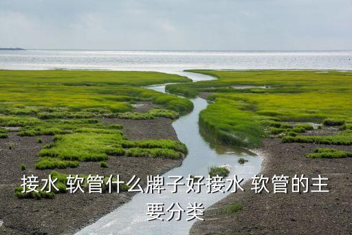 不銹鋼衛(wèi)浴軟管有幾大品牌