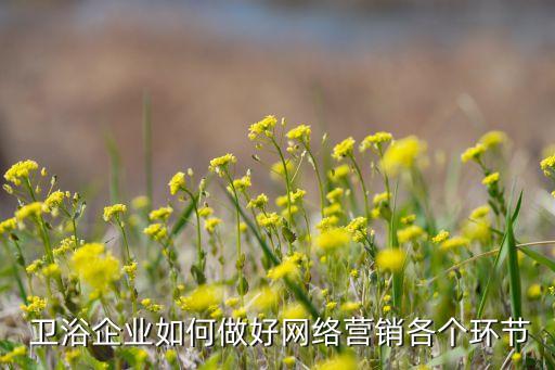  衛(wèi)浴企業(yè)如何做好網(wǎng)絡(luò)營銷各個環(huán)節(jié)