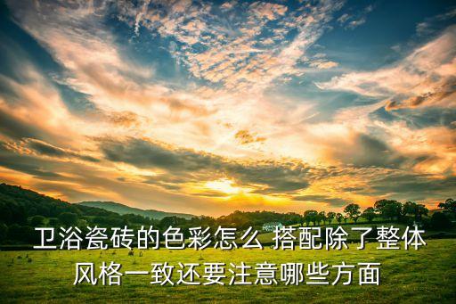 深墻磚衛(wèi)浴搭配圖片欣賞