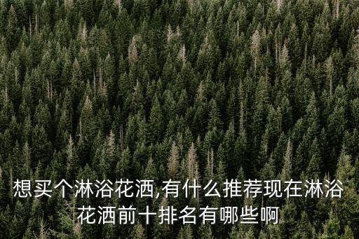 想買個淋浴花灑,有什么推薦現(xiàn)在淋浴花灑前十排名有哪些啊