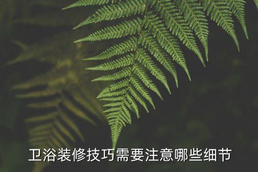  衛(wèi)浴裝修技巧需要注意哪些細(xì)節(jié)
