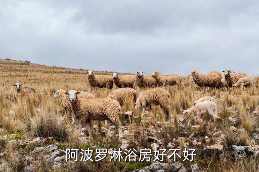  阿波羅淋浴房好不好