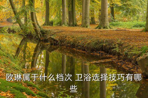 歐琳屬于什么檔次 衛(wèi)浴選擇技巧有哪些