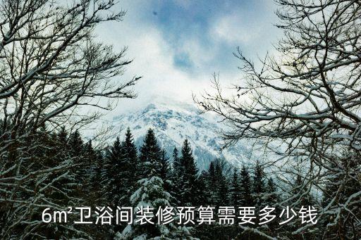 6㎡衛(wèi)浴間裝修預算需要多少錢