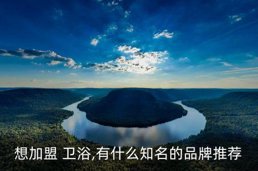 想加盟 衛(wèi)浴,有什么知名的品牌推薦