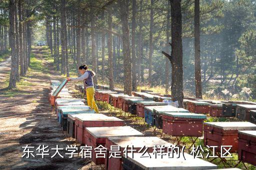 松江區(qū)老舊衛(wèi)浴回收點地址