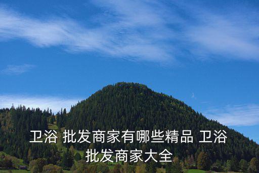  衛(wèi)浴 批發(fā)商家有哪些精品 衛(wèi)浴 批發(fā)商家大全