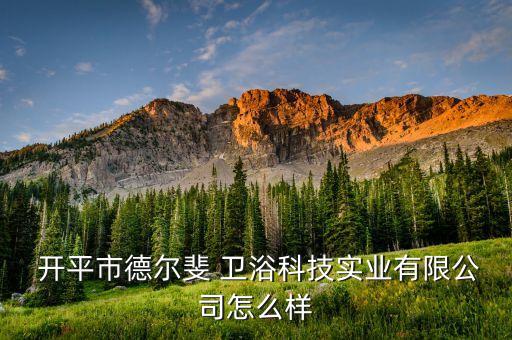  開平市德爾斐 衛(wèi)浴科技實(shí)業(yè)有限公司怎么樣