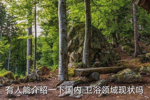衛(wèi)浴配件實用清單表格圖片