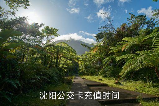 沈陽(yáng)公交卡充值時(shí)間