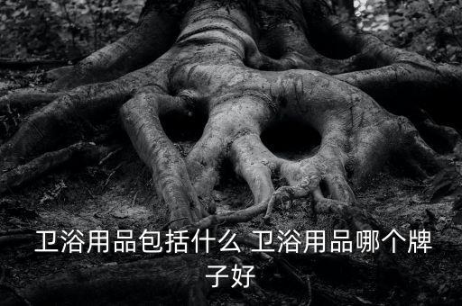  衛(wèi)浴用品包括什么 衛(wèi)浴用品哪個牌子好