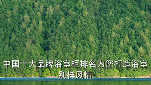 中國十大品牌浴室柜排名為您打造浴室別樣風(fēng)情