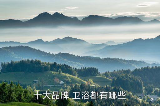 十大品牌 衛(wèi)浴都有哪些