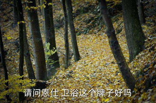 請問恩仕 衛(wèi)浴這個牌子好嗎