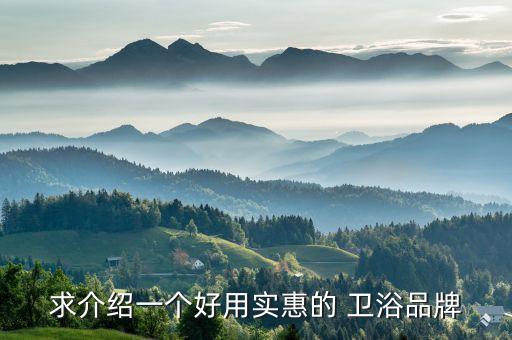 求介紹一個(gè)好用實(shí)惠的 衛(wèi)浴品牌
