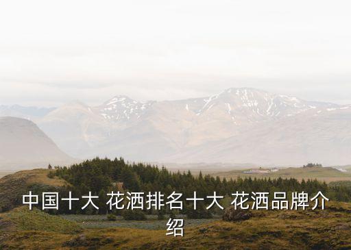 中國十大 花灑排名十大 花灑品牌介紹