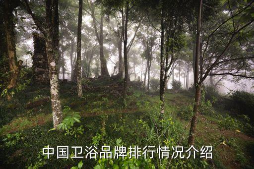 中國(guó)衛(wèi)浴品牌排行情況介紹