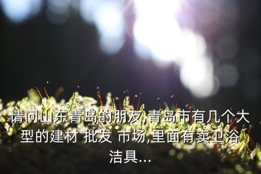 請(qǐng)問山東青島的朋友,青島市有幾個(gè)大型的建材 批發(fā) 市場(chǎng),里面有賣衛(wèi)浴潔具...