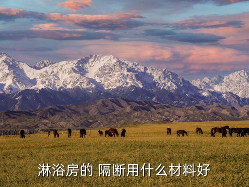 淋浴房的 隔斷用什么材料好