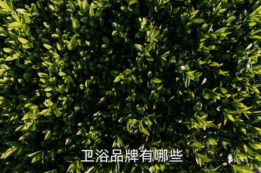  衛(wèi)浴品牌有哪些