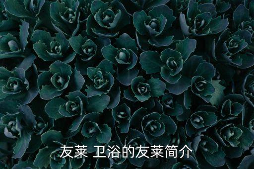 友萊 衛(wèi)浴的友萊簡介