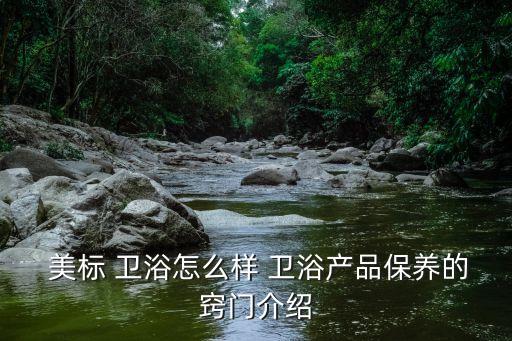  美標(biāo) 衛(wèi)浴怎么樣 衛(wèi)浴產(chǎn)品保養(yǎng)的竅門介紹