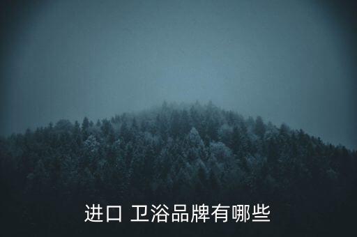 進(jìn)口 衛(wèi)浴品牌有哪些