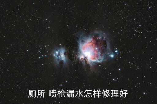 廁所 噴槍漏水怎樣修理好