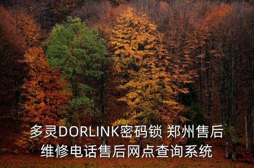 多靈DORLINK密碼鎖 鄭州售后維修電話售后網(wǎng)點(diǎn)查詢系統(tǒng)